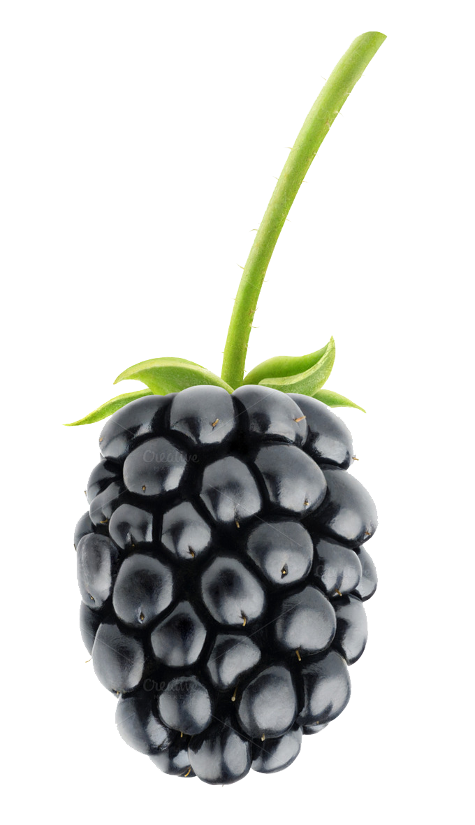 Raspberry